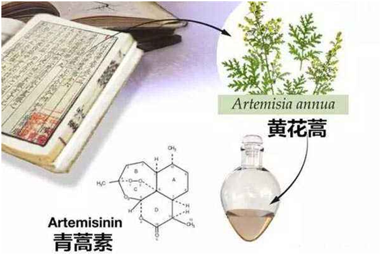 江南官方（中国）总部,：向中医药看齐，与世界共享中医药文化(图1)